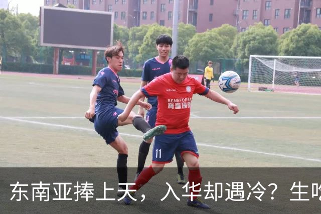 东南亚捧上天，入华却遇冷？生吃扎嘴、颜色缺陷，这玩意怎么火？