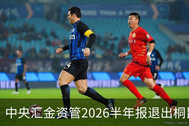 中央汇金资管2026半年报退出桐昆股份前十大股东名单