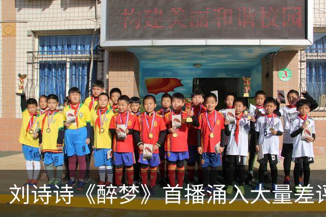 刘诗诗《醉梦》首播涌入大量差评，两大问题，让它成不了公认好剧