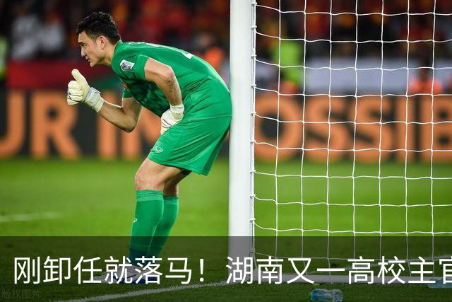 刚卸任就落马！湖南又一高校主官被拿下，和南华大学渊源很深