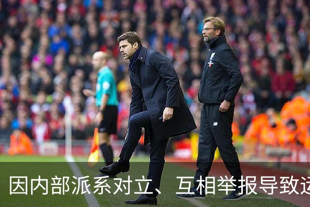 因内部派系对立、互相举报导致运转失灵，内蒙古诗词学会被限期停止活动