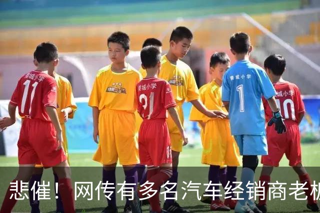 悲催！网传有多名汽车经销商老板移民海外远程操盘，结果接连爆雷，网友：以为凭实力赚的，其实是时代的红利