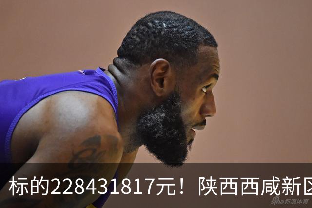 标的228431817元！陕西西咸新区发展集团有限公司新增被执行人记录