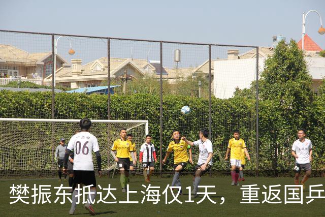 樊振东抵达上海仅1天，重返国乒争议再起，王励勤的话有人信了