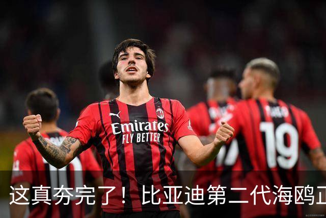 这真夯完了！比亚迪第二代海鸥正式公布发布价，6.29万元起