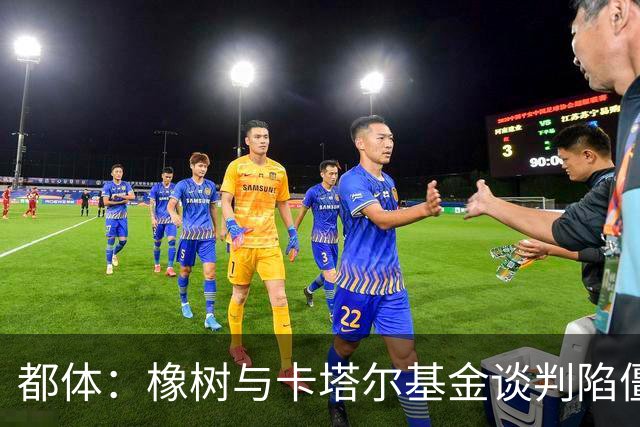 都体：橡树与卡塔尔基金谈判陷僵局，国米少数股权估值分歧显著