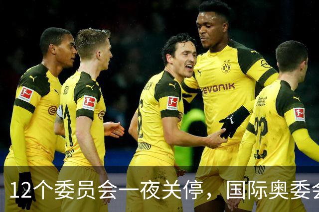 12个委员会一夜关停，国际奥委会只留19个